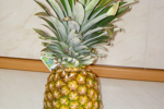 Bild mit Ananas